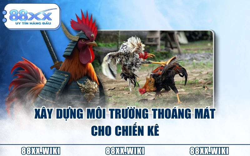 Xây dựng môi trường thoáng mát cho chiến kê